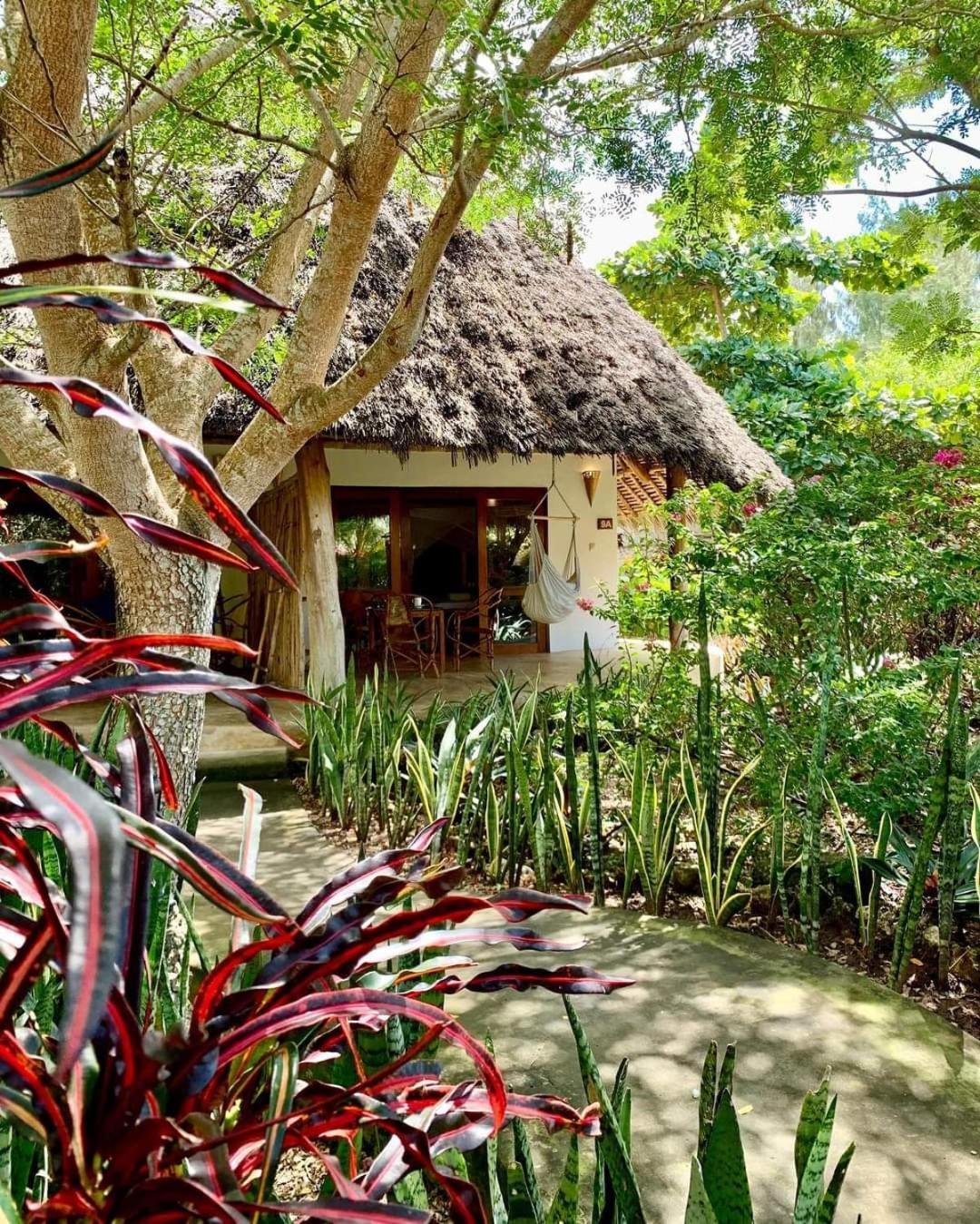 Marafiki Kiwengwa (Zanzibar)
