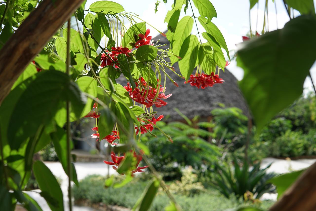 Marafiki