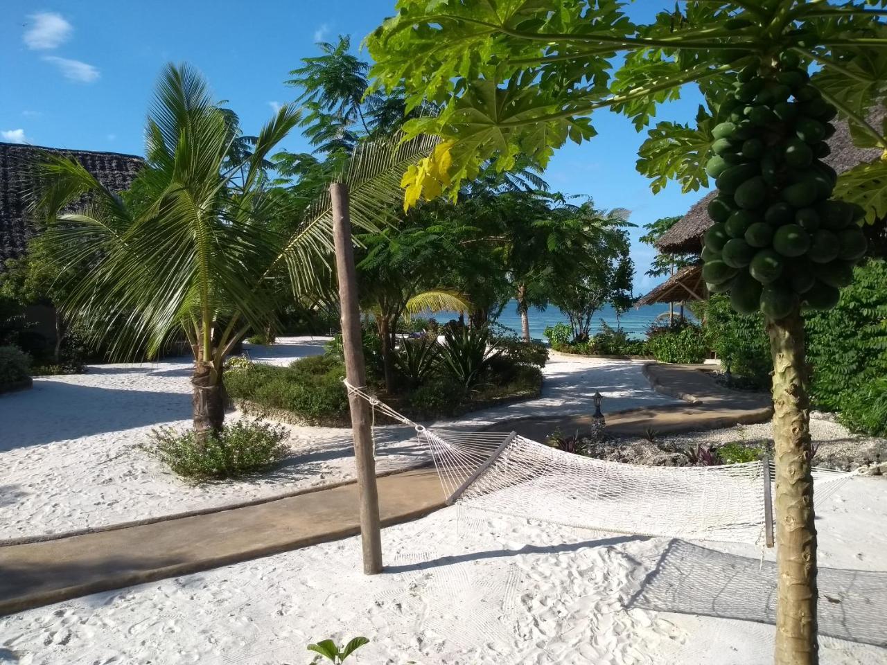 Marafiki 4* Kiwengwa (Zanzibar)